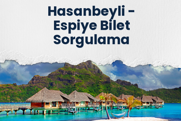 Hasanbeyli → Espiye Bilet Sorgulama