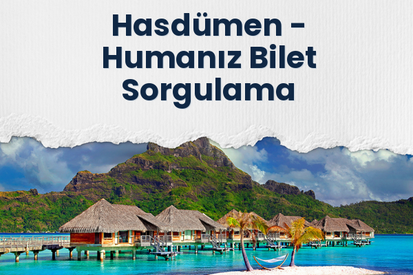 Hasdümen → Humanız Bilet Sorgulama