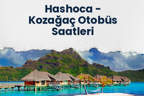 Hashoca → Kozağaç Otobüs Saatleri