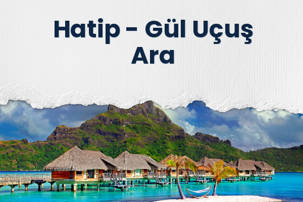 Hatip → Gül Uçuş Ara