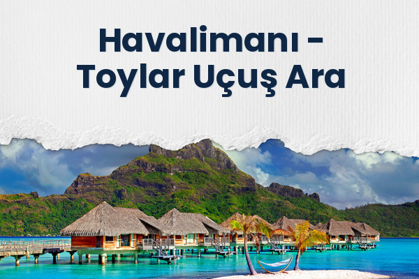 Havalimanı → Toylar Uçuş Ara