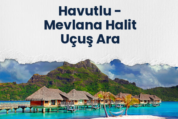 Havutlu → Mevlana Halit Uçuş Ara