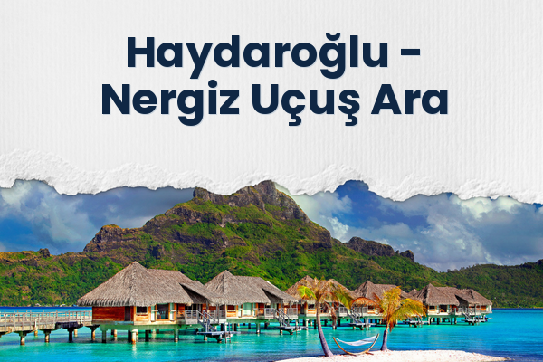 Haydaroğlu → Nergiz Uçuş Ara