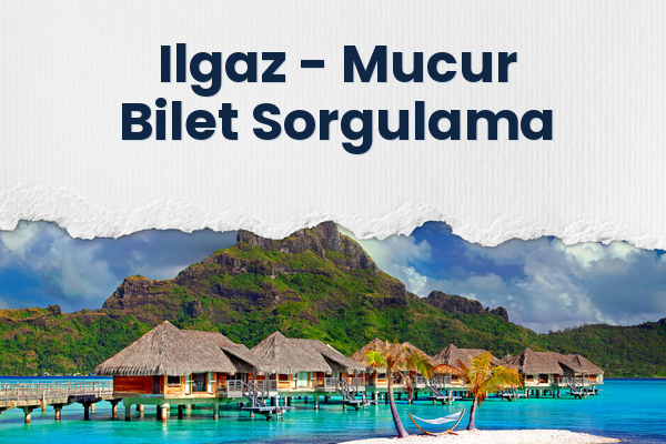 Ilgaz → Mucur Bilet Sorgulama
