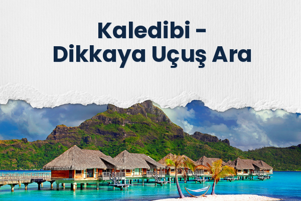 Kaledibi → Dikkaya Uçuş Ara