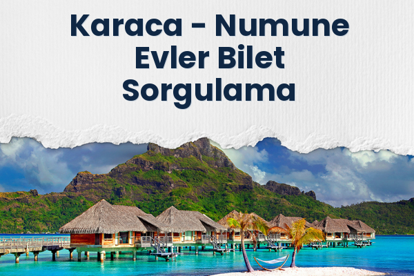Karaca → Numune Evler Bilet Sorgulama