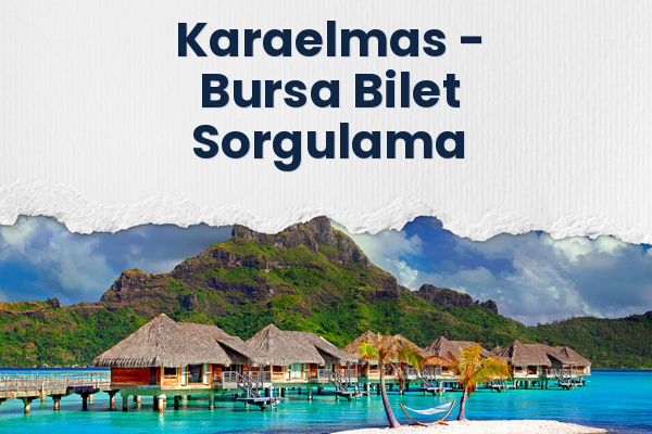 Karaelmas → Bursa Bilet Sorgulama