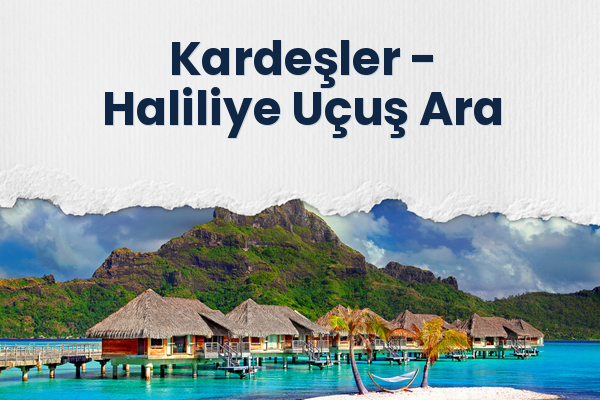 Kardeşler → Haliliye Uçuş Ara