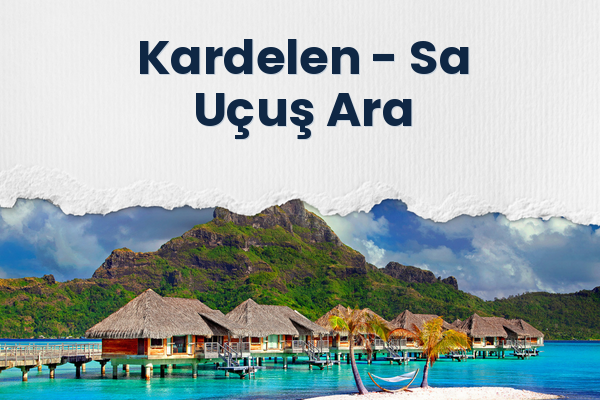 Kardelen → Sa Uçuş Ara