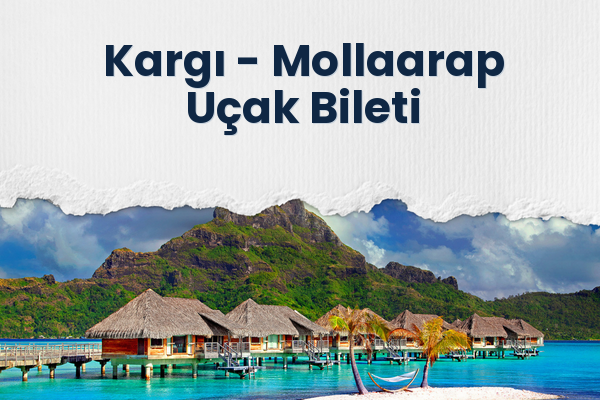 Kargı → Mollaarap Uçak Bileti