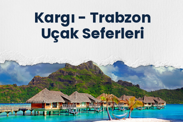 Kargı → Trabzon Uçak Seferleri