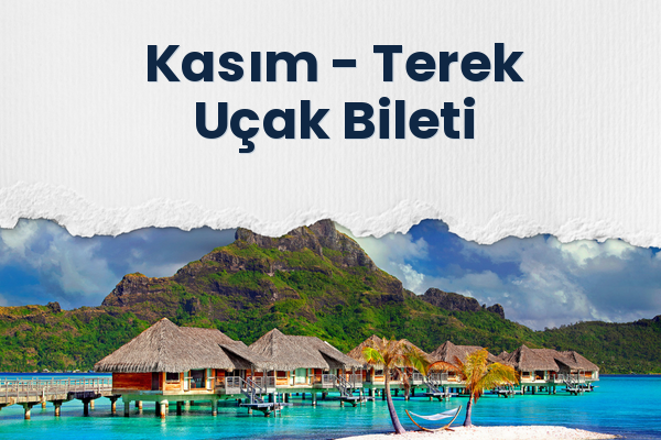 Kasım → Terek Uçak Bileti