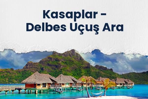 Kasaplar → Delbes Uçuş Ara