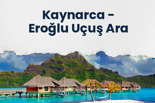 Kaynarca → Eroğlu Uçuş Ara