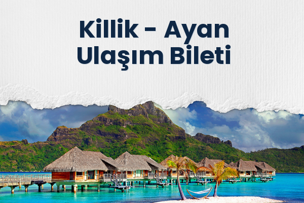 Killik → Ayan Ulaşım Bileti