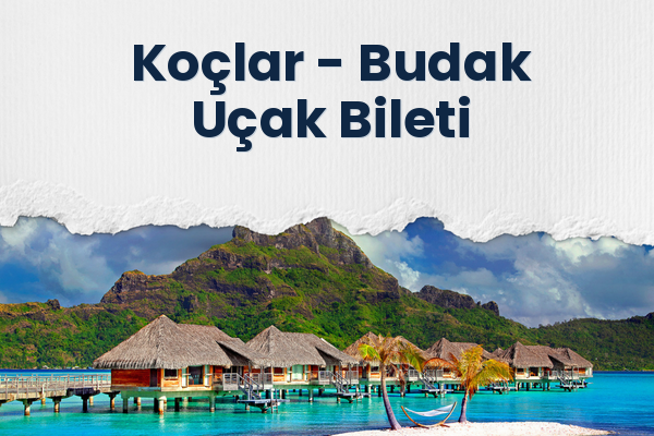 Koçlar → Budak Uçak Bileti