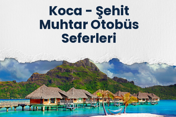 Koca → Şehit Muhtar Otobüs Seferleri