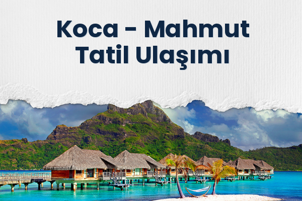 Koca → Mahmut Tatil Ulaşımı
