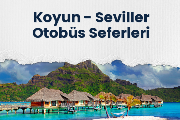 Koyun → Seviller Otobüs Seferleri