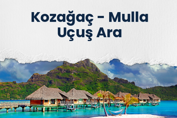 Kozağaç → Mulla Uçuş Ara