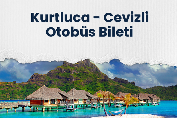 Kurtluca → Cevizli Otobüs Bileti