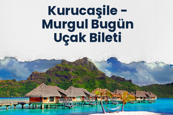 Kurucaşile → Murgul Bugün Uçak Bileti
