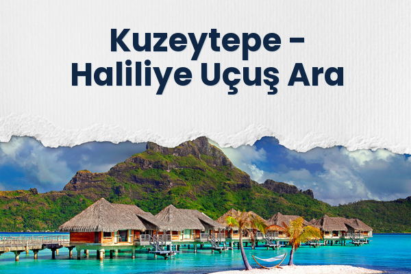 Kuzeytepe → Haliliye Uçuş Ara