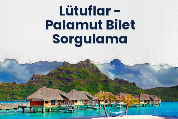 Lütuflar → Palamut Bilet Sorgulama