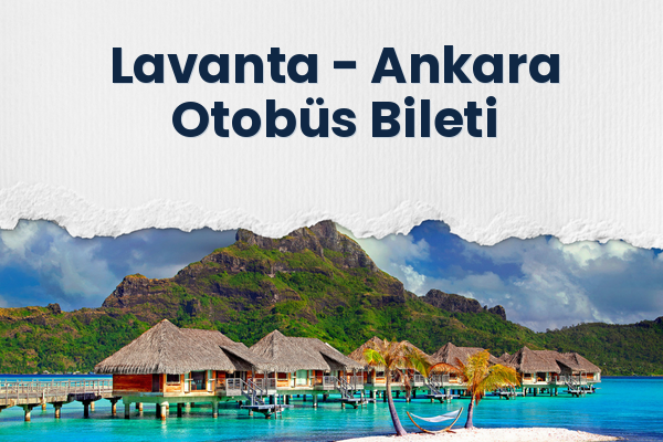 Lavanta → Ankara Otobüs Bileti