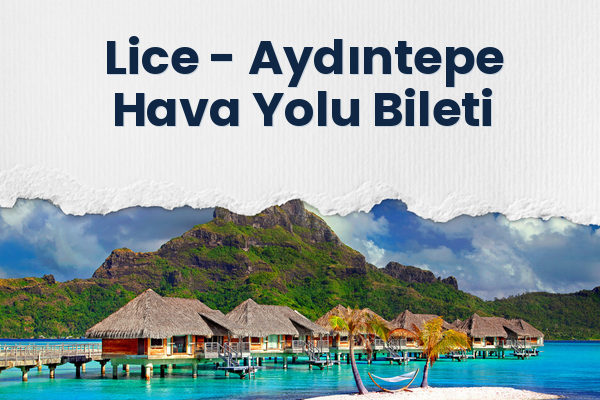 Lice → Aydıntepe Hava Yolu Bileti