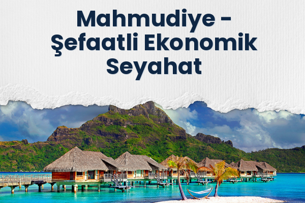 Mahmudiye → Şefaatli Ekonomik Seyahat