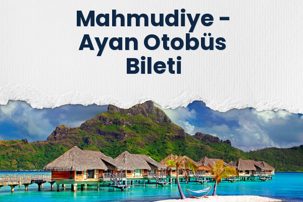 Mahmudiye → Ayan Otobüs Bileti