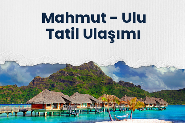 Mahmut → Ulu Tatil Ulaşımı
