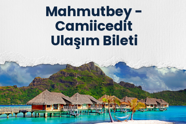 Mahmutbey → Camiicedit Ulaşım Bileti