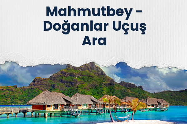 Mahmutbey → Doğanlar Uçuş Ara