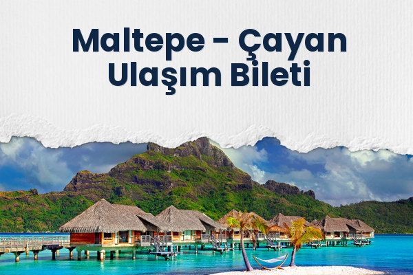 Maltepe → Çayan Ulaşım Bileti