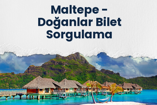 Maltepe → Doğanlar Bilet Sorgulama