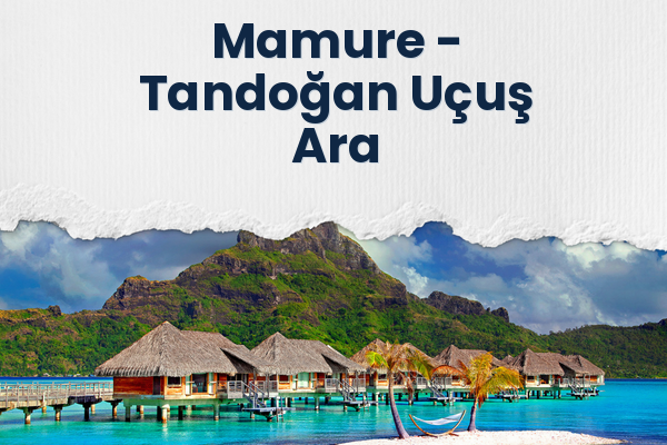 Mamure → Tandoğan Uçuş Ara