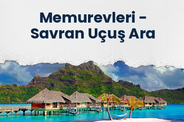 Memurevleri → Savran Uçuş Ara