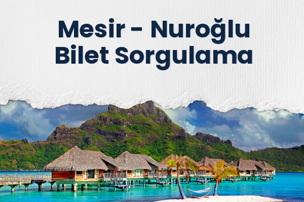 Mesir → Nuroğlu Bilet Sorgulama