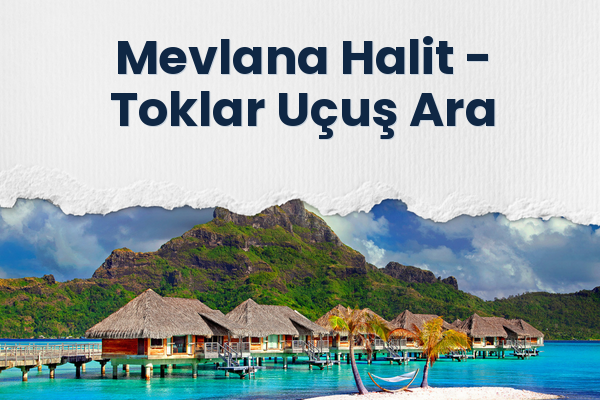 Mevlana Halit → Toklar Uçuş Ara