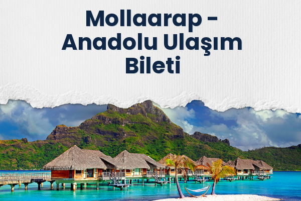 Mollaarap → Anadolu Ulaşım Bileti