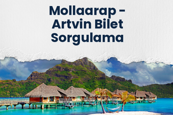 Mollaarap → Artvin Bilet Sorgulama