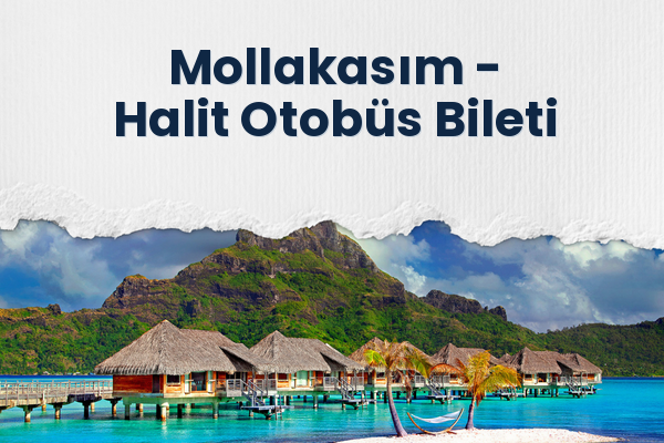 Mollakasım → Halit Otobüs Bileti