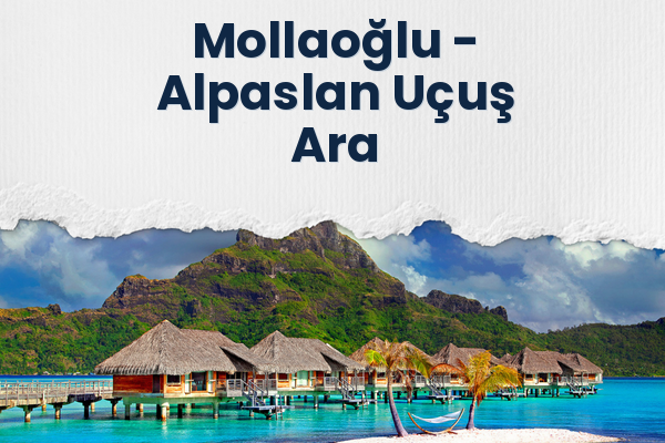 Mollaoğlu → Alpaslan Uçuş Ara