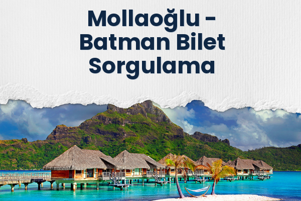 Mollaoğlu → Batman Bilet Sorgulama