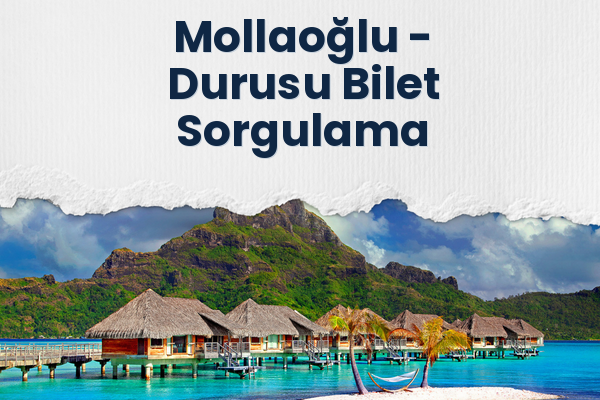 Mollaoğlu → Durusu Bilet Sorgulama