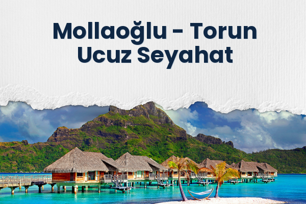 Mollaoğlu → Torun Ucuz Seyahat