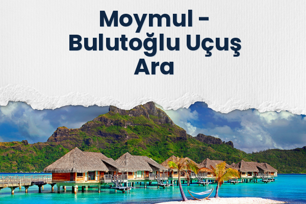Moymul → Bulutoğlu Uçuş Ara