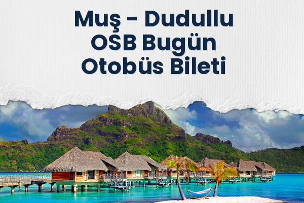 Muş → Dudullu OSB Bugün Otobüs Bileti